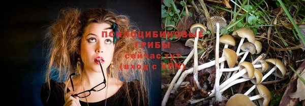 мдма Гусь-Хрустальный