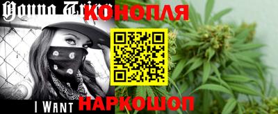 mdpv Краснознаменск