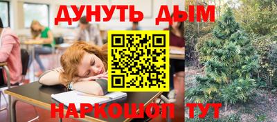 mdpv Краснознаменск