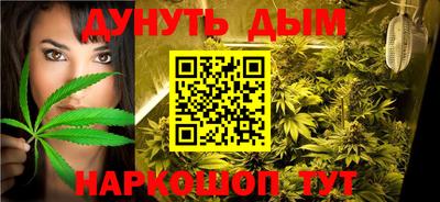 mdpv Краснознаменск