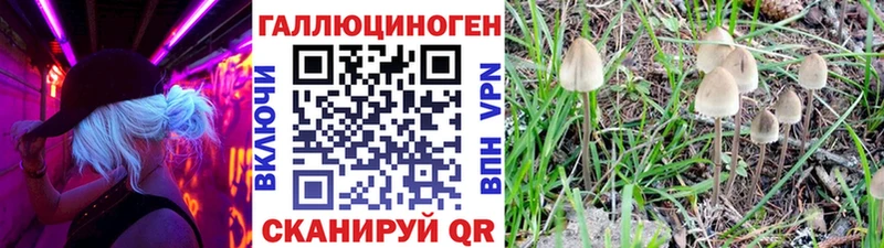 Галлюциногенные грибы Psilocybine cubensis  Донецк 